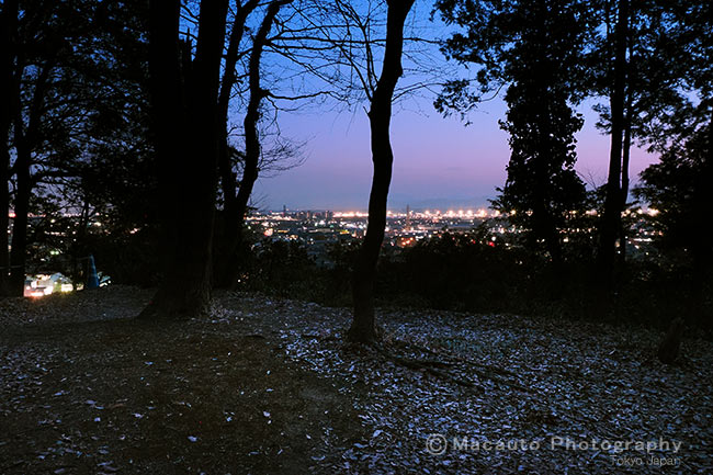 夜景スポット 野山北・六道山公園の雰囲気